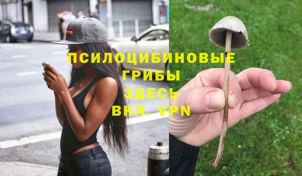 дмт Армянск